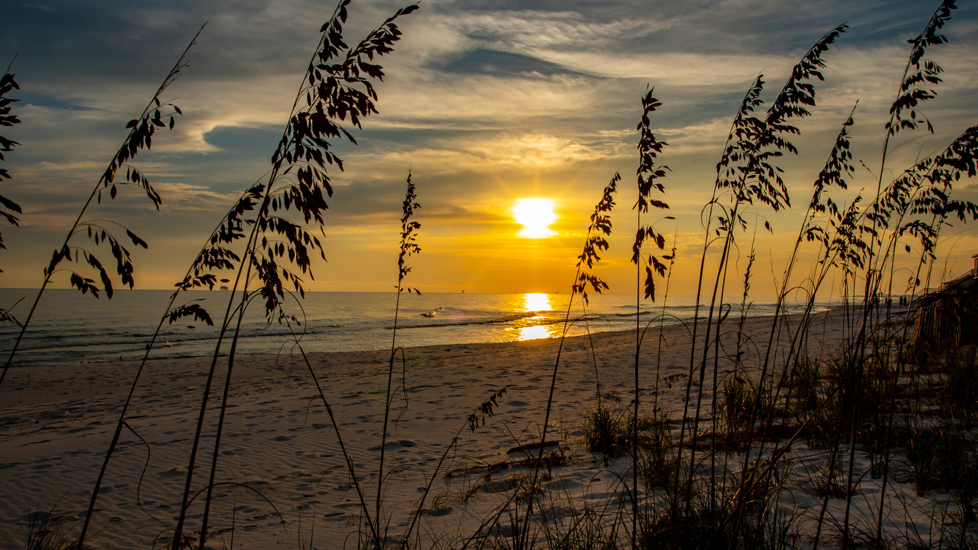 Sea Oats Sunset