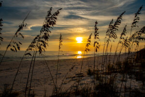 Sea Oats Sunset